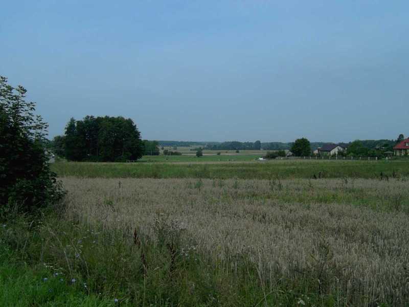 Polish countryside